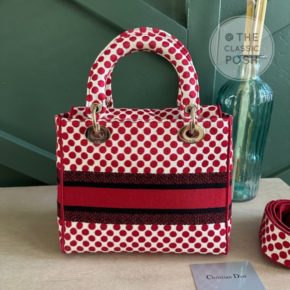 EUC  Rare Christian Dior Lady D Lite Dioramour 2020 Lady Bug Dots Satchel Bag - Picture 3 of 16